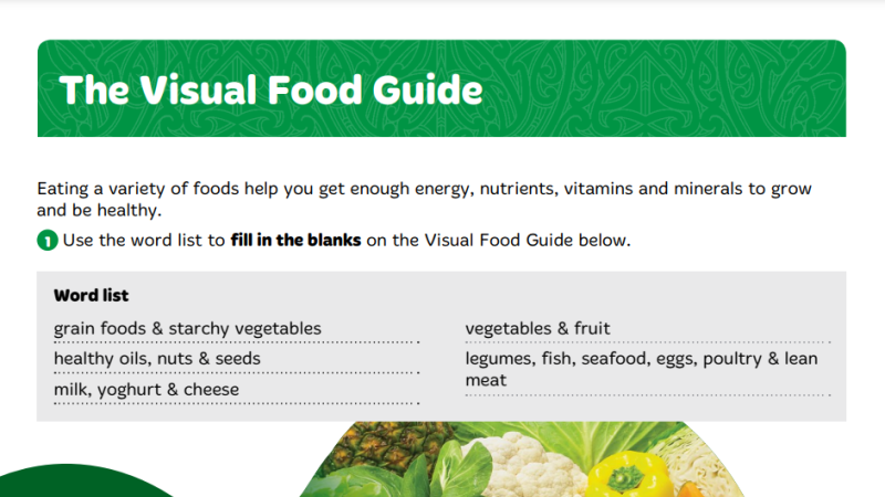 The Visual Food Guide Y8 L1