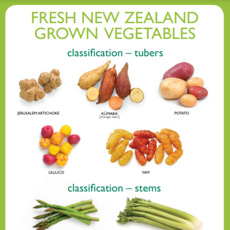 Tubers and Stems Poster