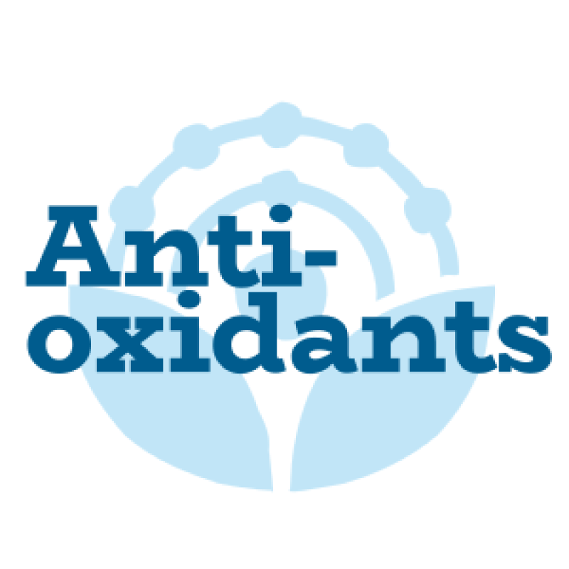 ant oxidants 2