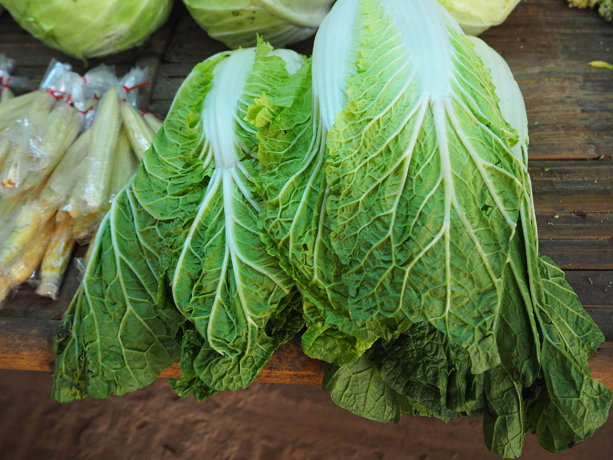 Asian Greens Vegetables co nz